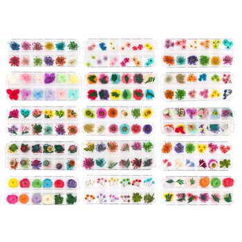  1 Кутия 12 Цвята Истински Сухи Цветя, 3D Декори за нокти Дизайн САМ Съвети за Маникюр