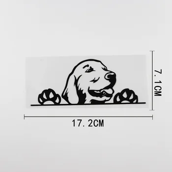  Черен/Сребрист Творчески Голдън Ретривър Куче, която гледа Vinyl Стикер За декорация на Автомобила 17.2CMX7.1 см